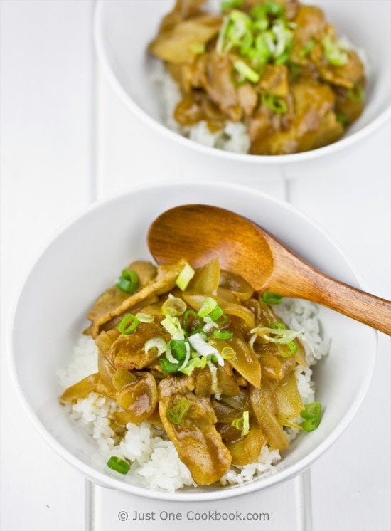 A donburi bowl with pork, curry, and green onion topping