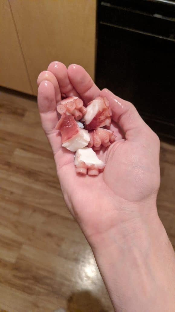 Chopped octopus tentacle