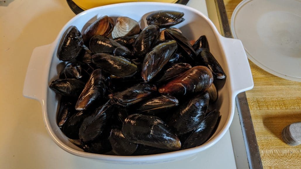 Mussels and clams in a pot